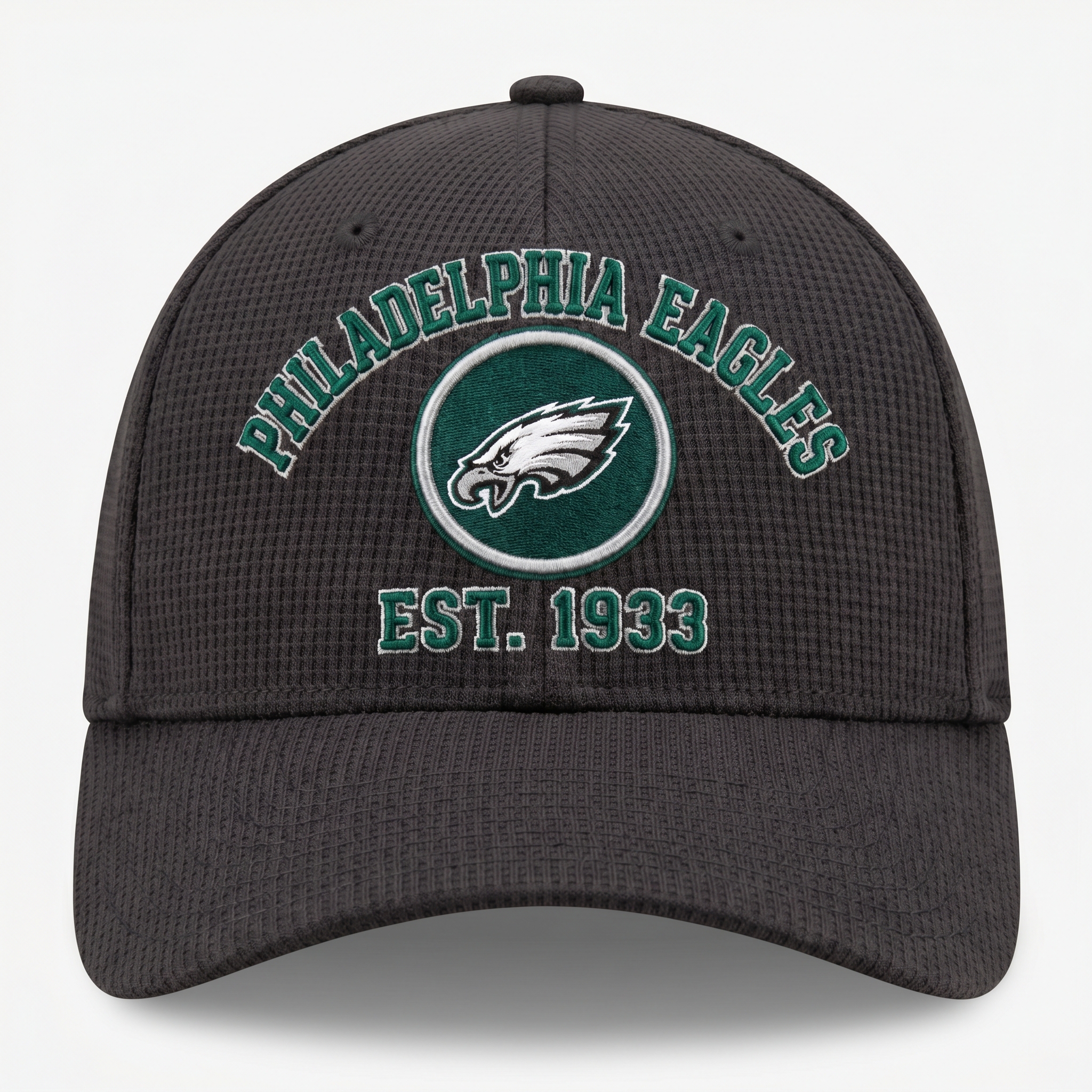 Philadelphia Eagles Waffle Knit Cap in Dark Gray