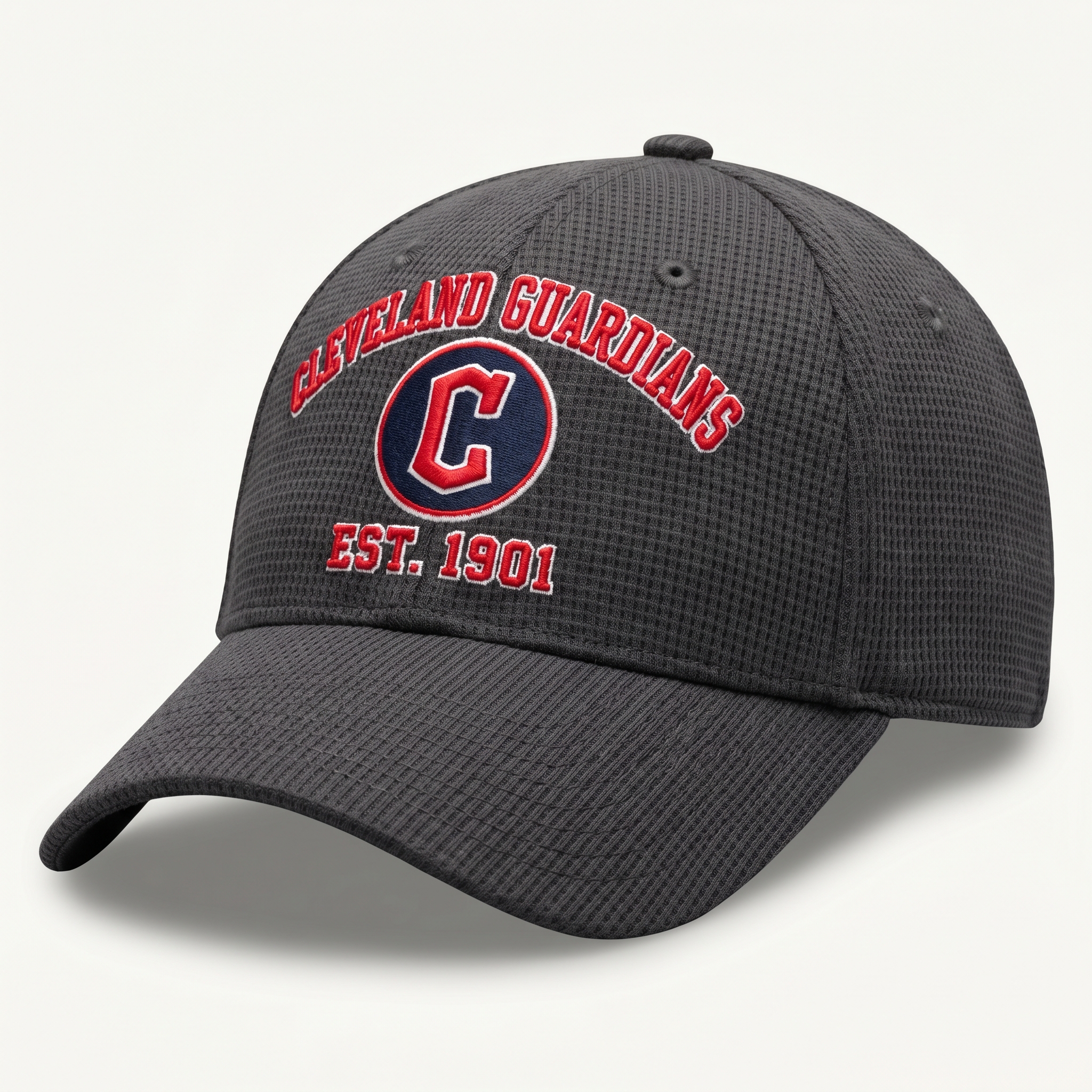 Cleveland Guardians Waffle Knit Cap in Dark Gray