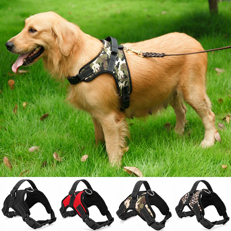Ziggy Padded Heavy Duty Pet Harness-Ziggy Dog Training Collar
