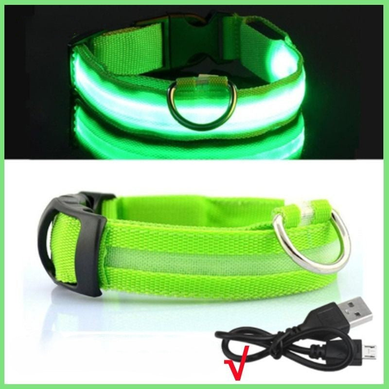 Rechargeable Adjustable LED Flashing Glowing Dog Collar-Ziggy Dog Training Collar