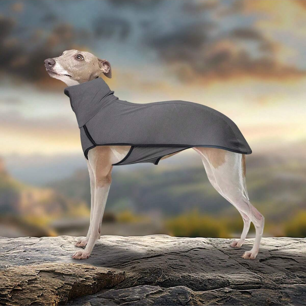 Solid Color Patchwork Pet Hoodie