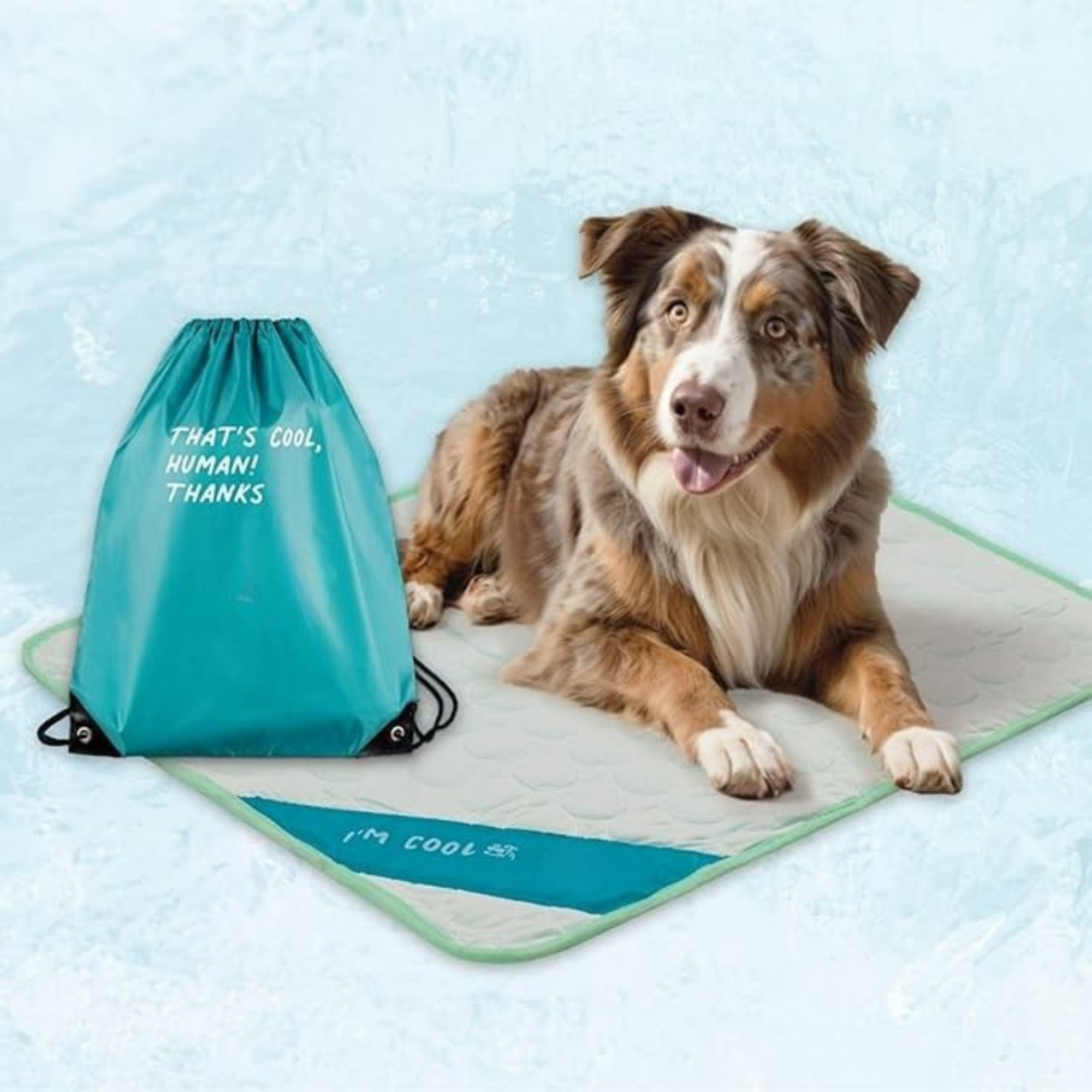 Foldable Self Cooling Pad For Dogs