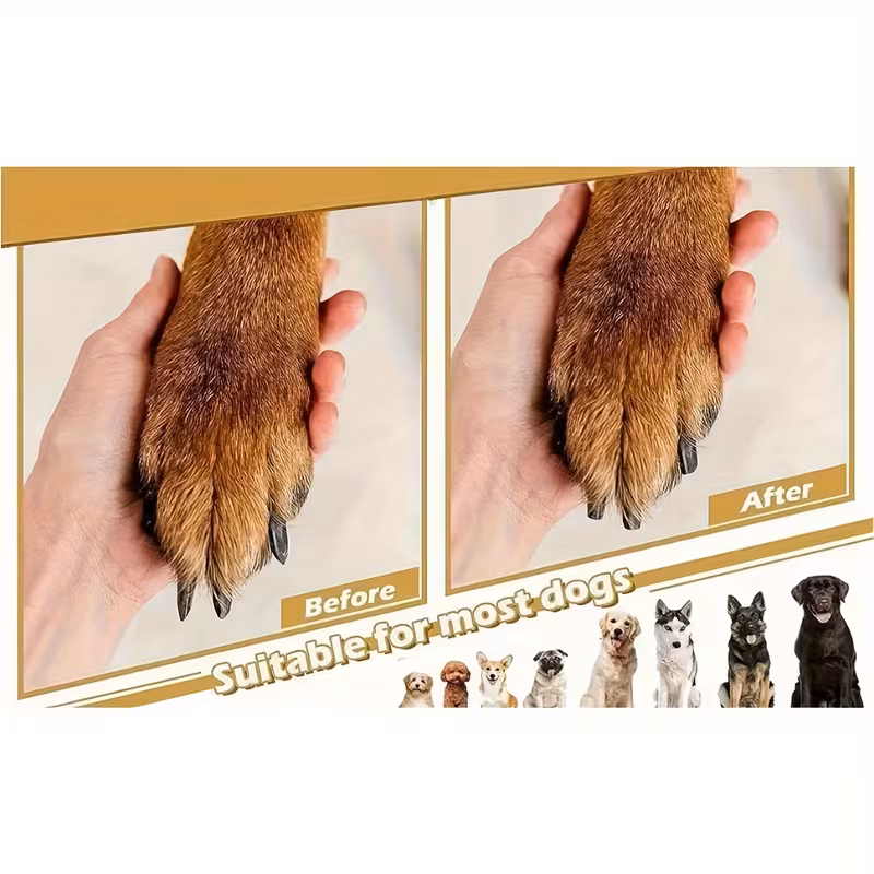 pet nail care dog nail file scratch square for dogs   nail care durable pp material 3
