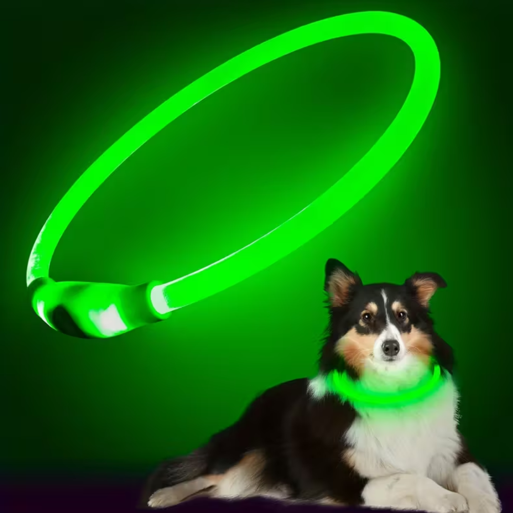 USB Rechargeable LED Light Dog Collar Anti-Lost Luminous Safety