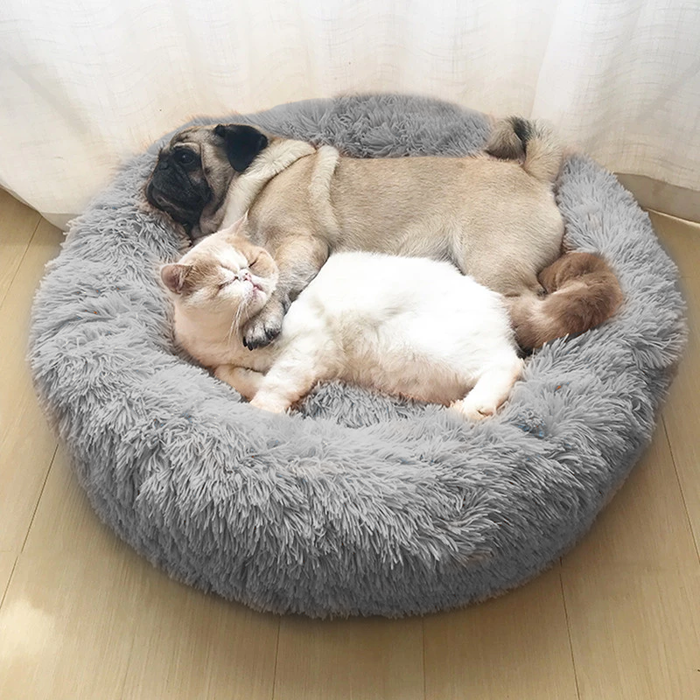 Donut Shape Cat And Dog Bed-Ziggy Dog Training Collar