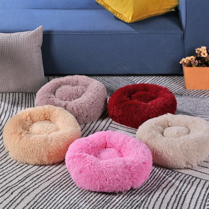 Donut Shape Cat And Dog Bed-Ziggy Dog Training Collar