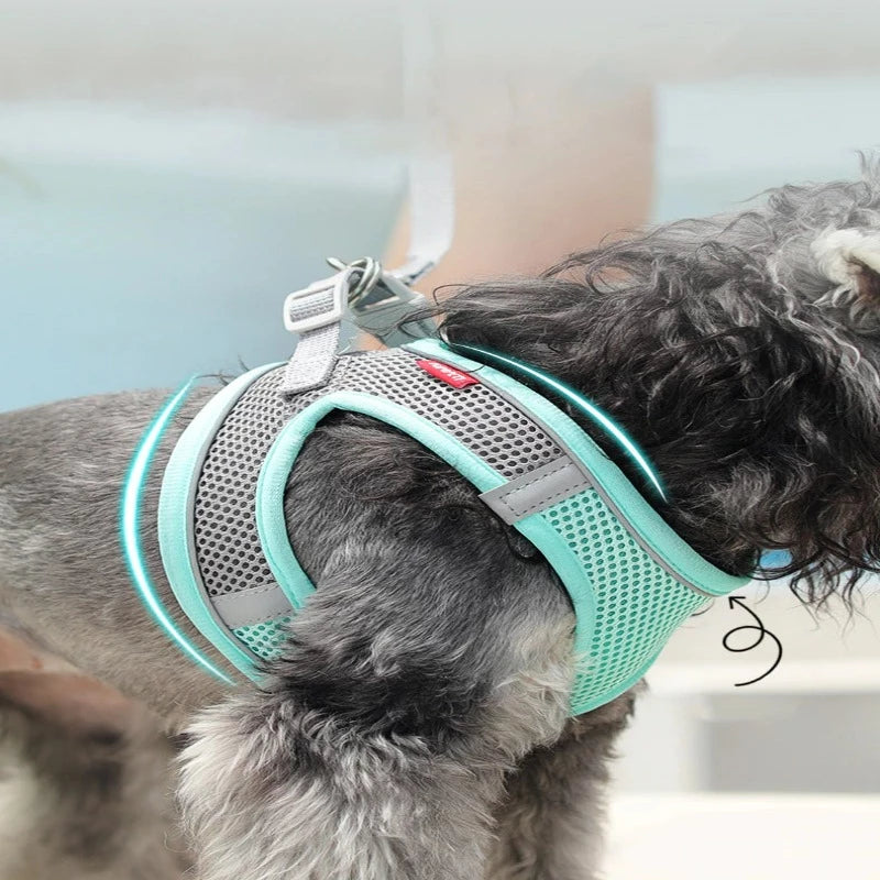 Reflective Breathable Harness Rope-Ziggy Dog Training Collar