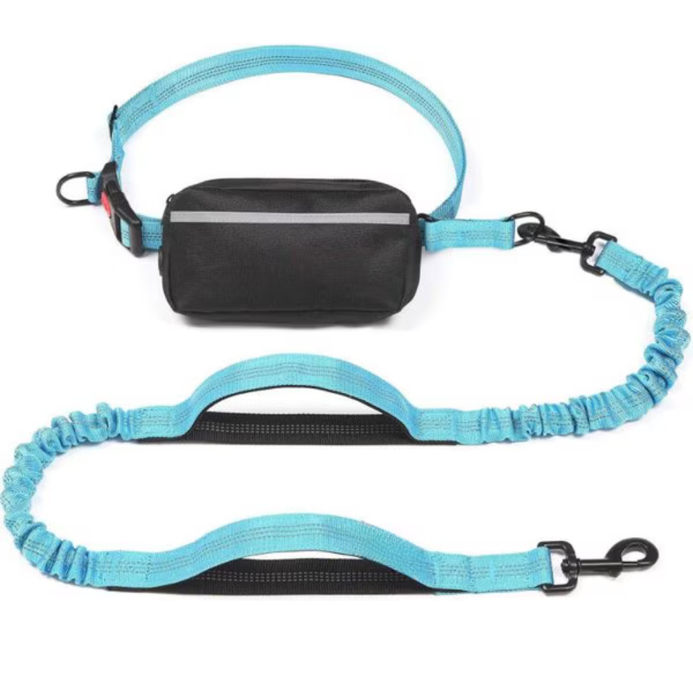 Reflective Bungees Running Dog Leash-Ziggy Dog Training Collar