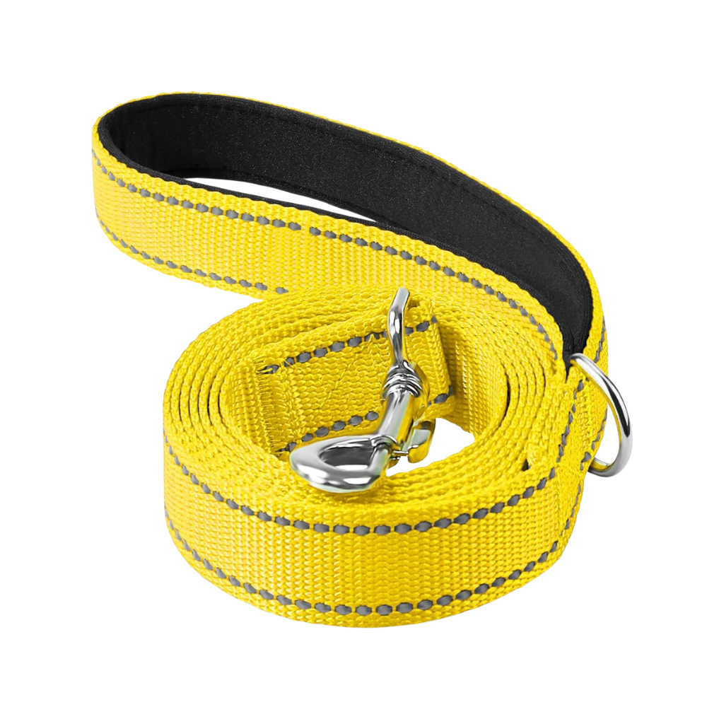 Narrow Double Sided Reflective Dog Leash