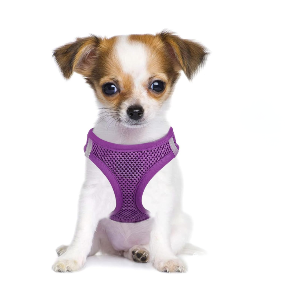 Dog Harness And Leash Set No Pull Mesh Reflective Vest For Pets