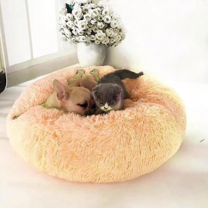Donut Shape Cat And Dog Bed-Ziggy Dog Training Collar