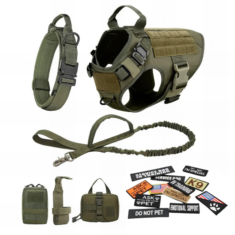 Dog Harness With Accessories-Ziggy Dog Training Collar