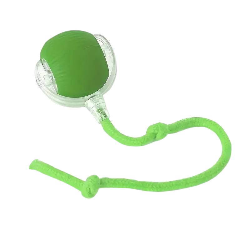 Interactive Motion Ball For Pets With USB Charging-Ziggy Dog Training Collar