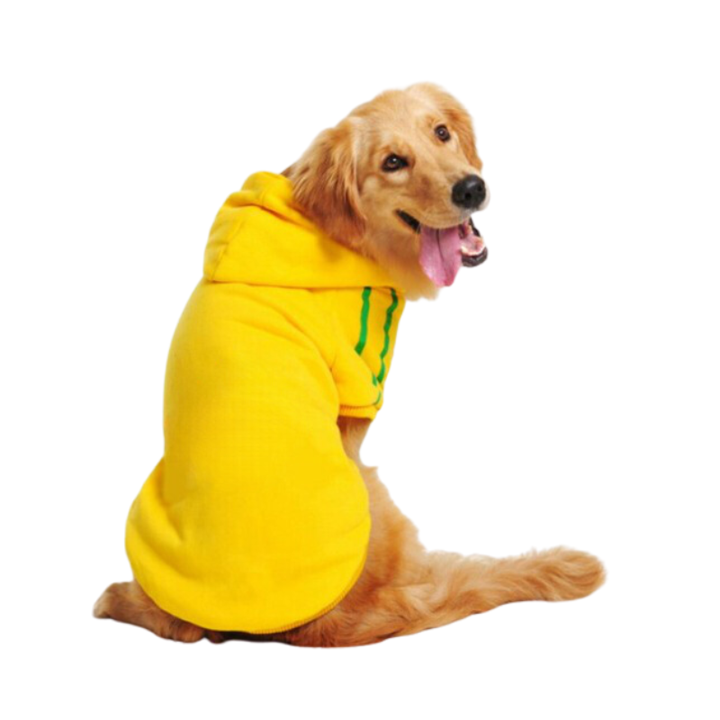 Pet Hoodie Jacket-Ziggy Dog Training Collar