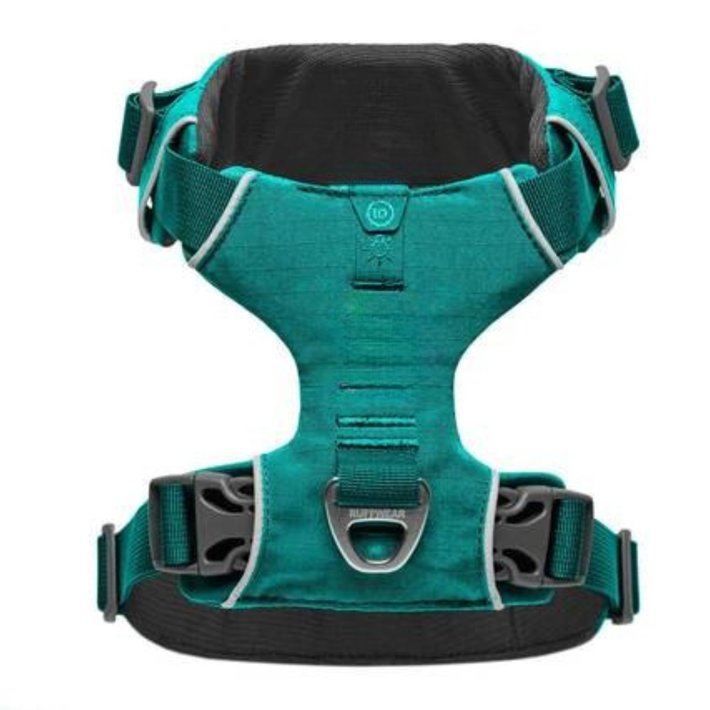 Adjustable Adventure Dog Harness For Outdoor Walking-Ziggy Dog Training Collar