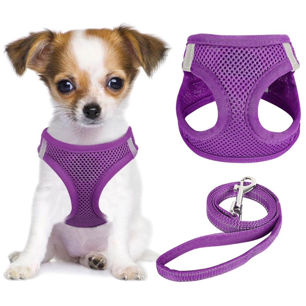 Dog Harness and Leash Set No Pull Mesh Reflective Vest For Pets