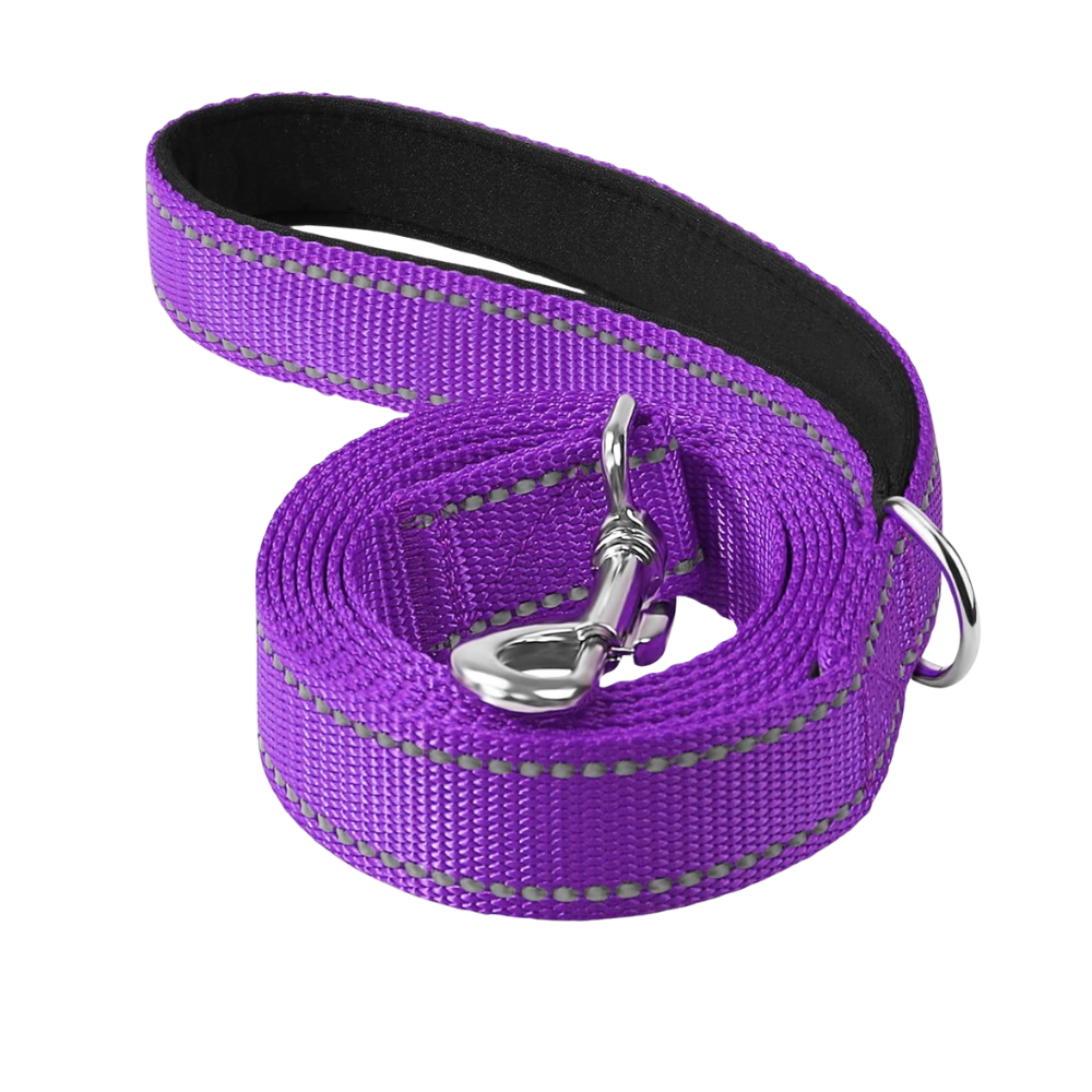 Narrow Double Sided Reflective Dog Leash
