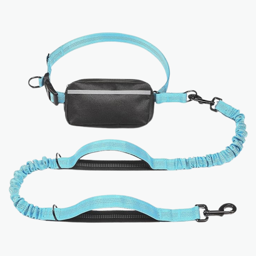 Hands Free Dog Leash With Zipper Pouch