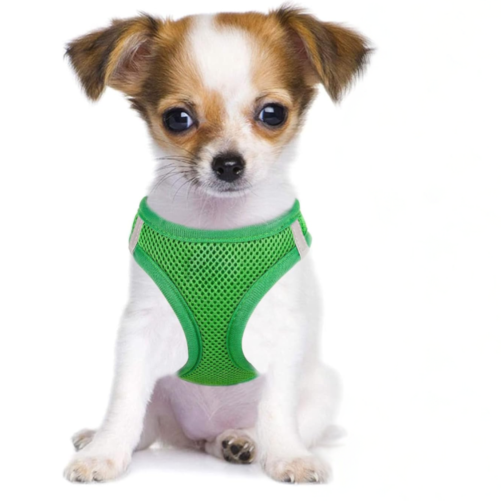 Dog Harness And Leash Set No Pull Mesh Reflective Vest For Pets