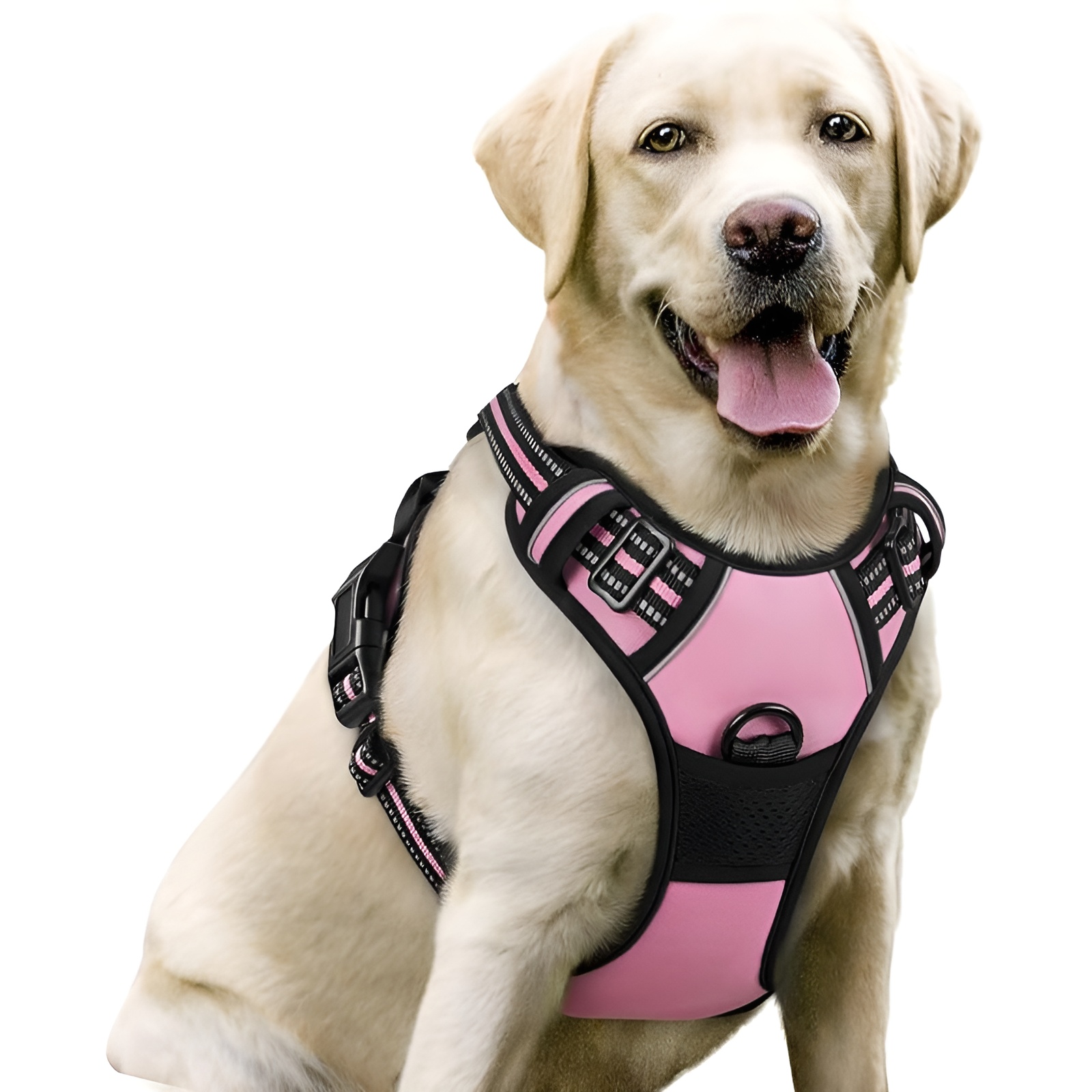 Dog Harness No Pull with 2 Leash Clips