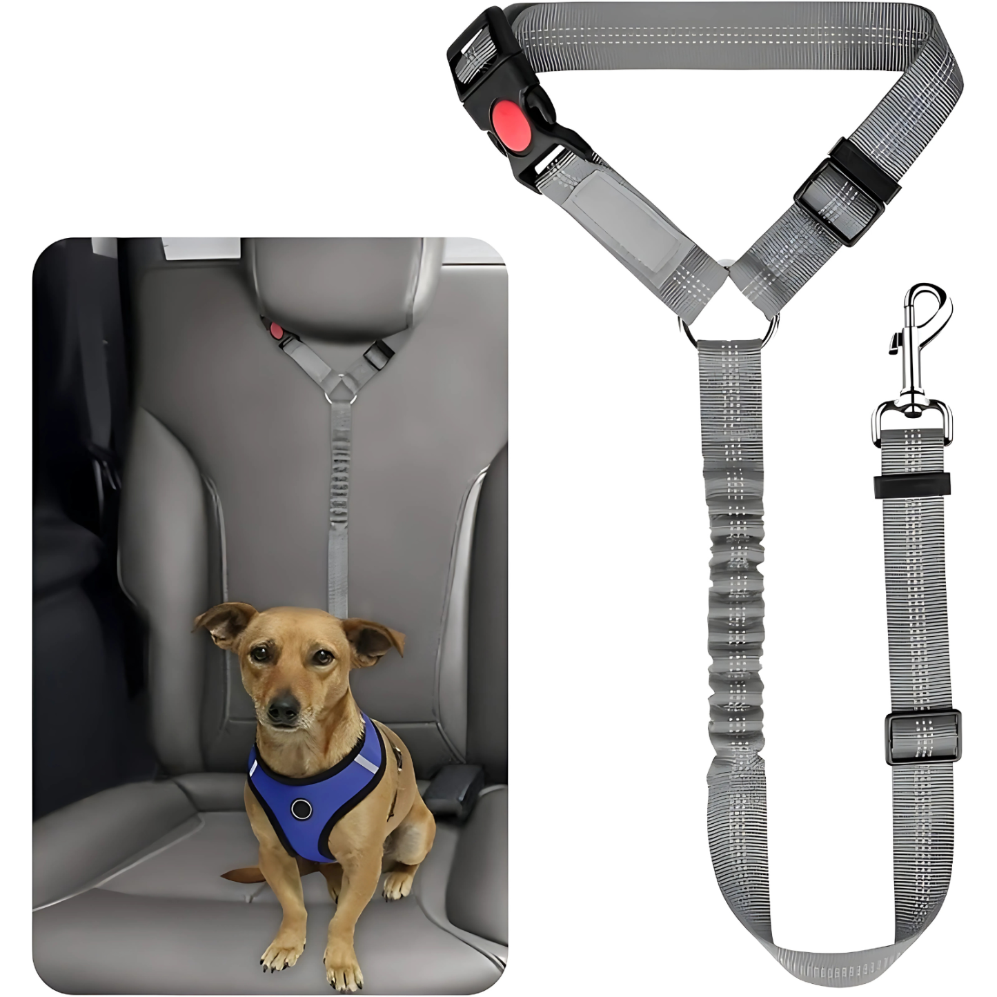 Pet Dog Cat Elastic Seat Belts