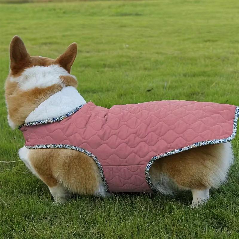 Winter Dog Coat With Plush Lining And Adjustable Straps