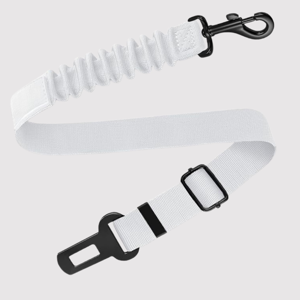 Adjustable Car Seat Belt For Dog