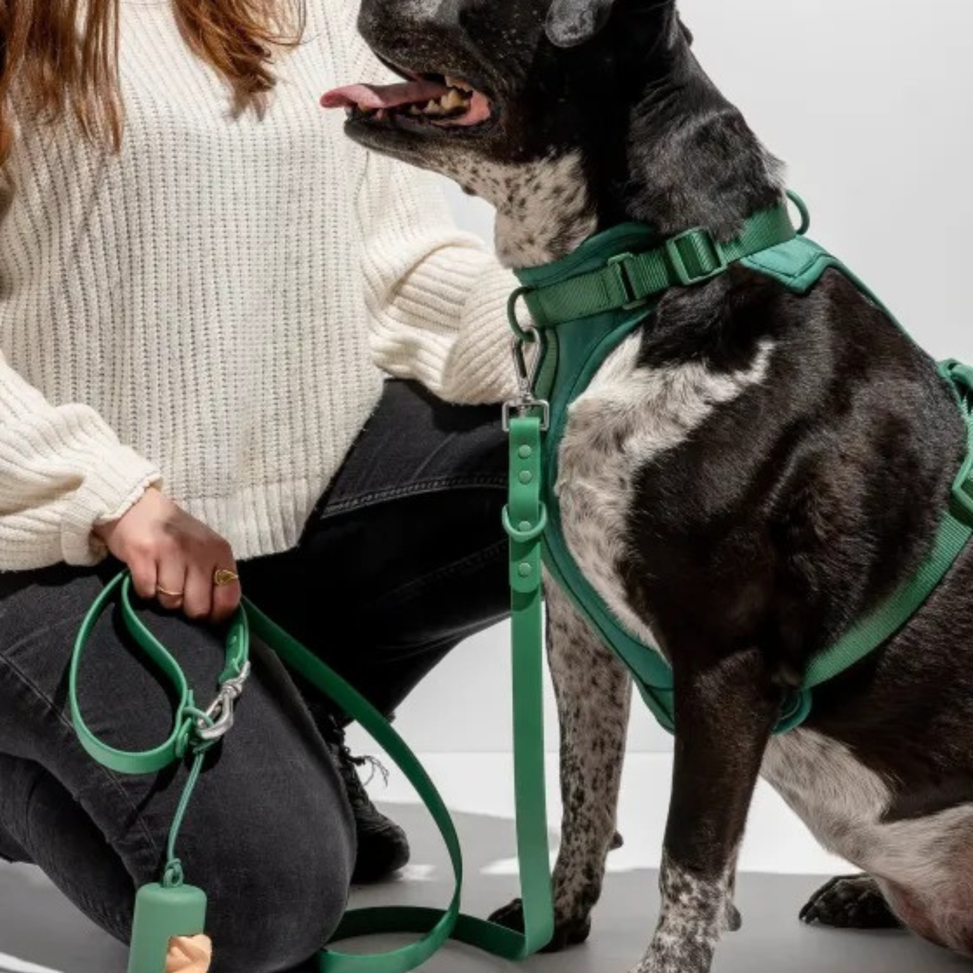 Dog Harness With Waterproof Walking Leash Kit