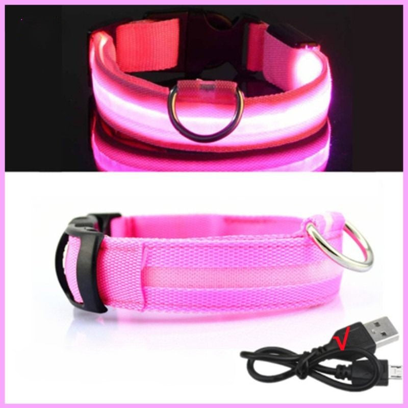 Rechargeable Adjustable LED Flashing Glowing Dog Collar-Ziggy Dog Training Collar