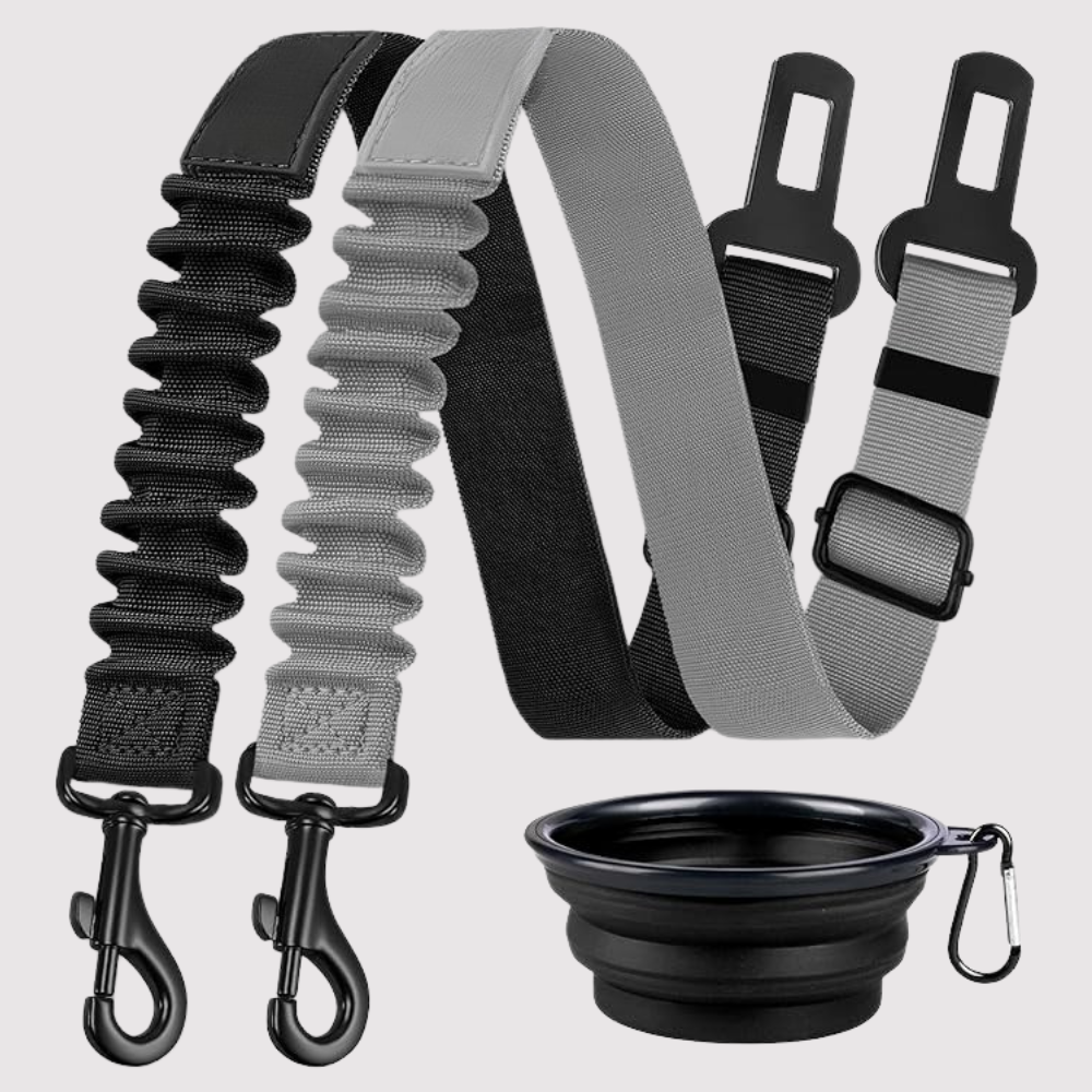 Dog Safety Seat Belt Pack Of 3