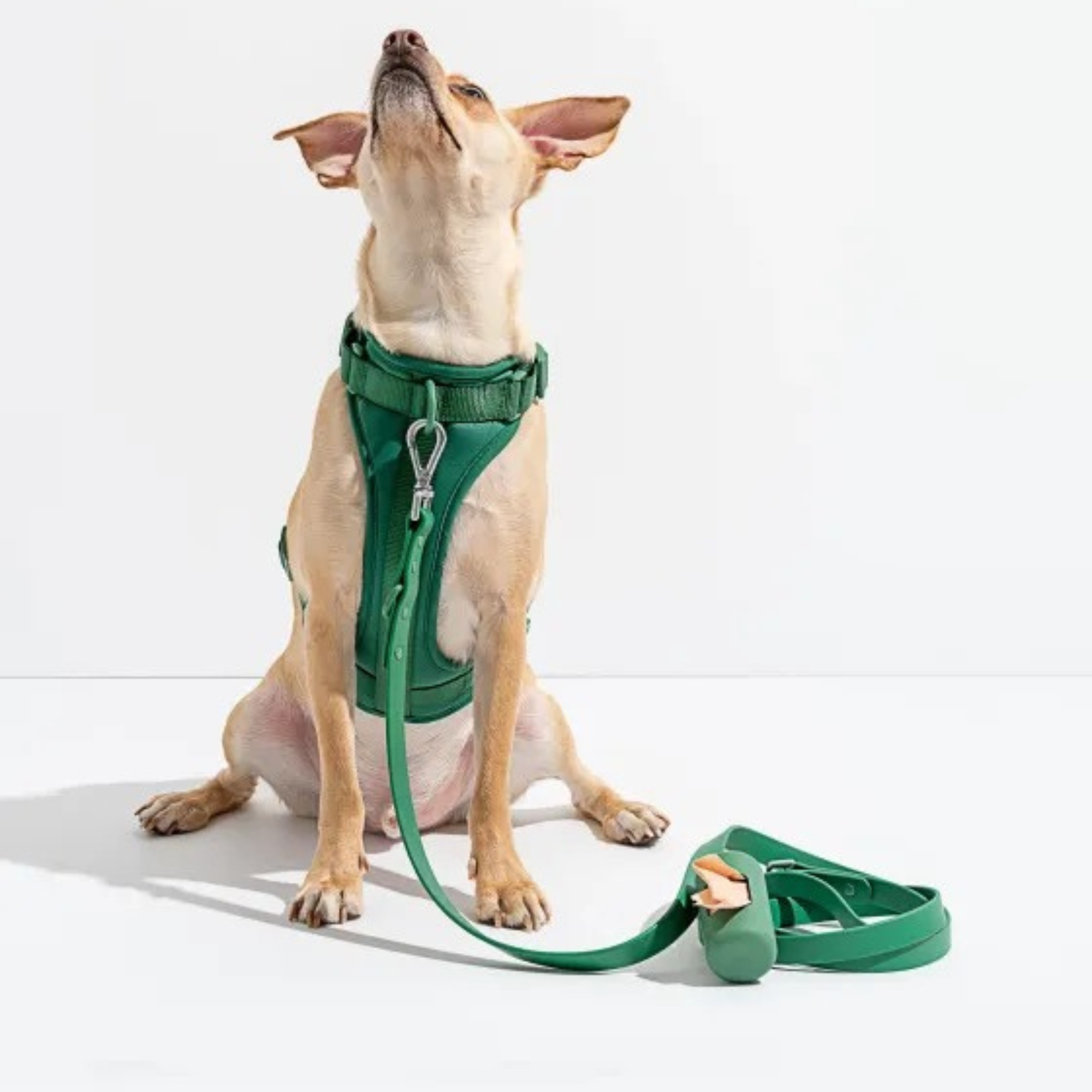 Dog Harness With Waterproof Walking Leash Kit