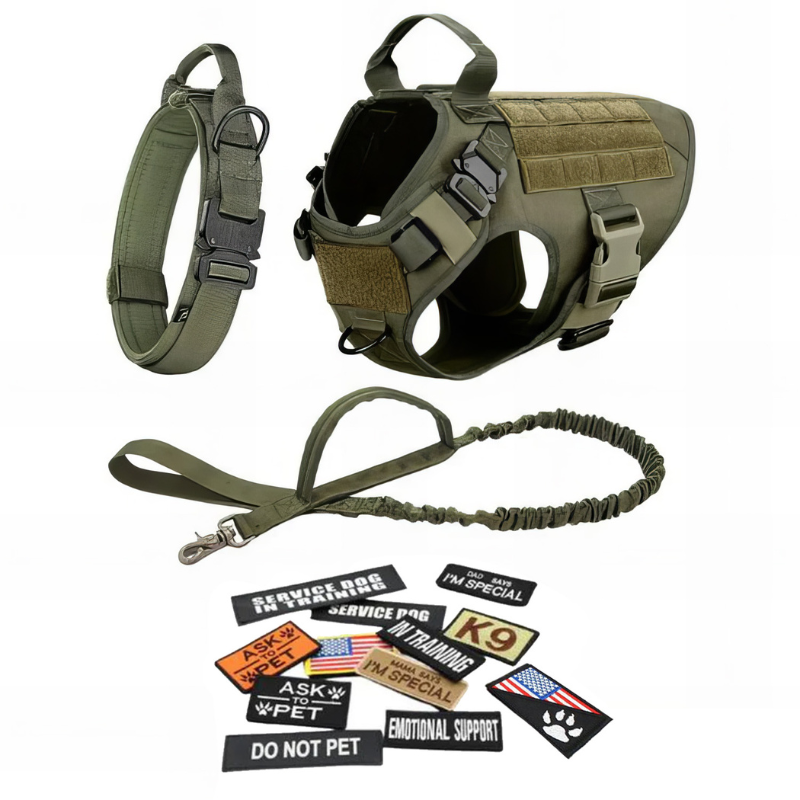 Dog Harness With Accessories-Ziggy Dog Training Collar