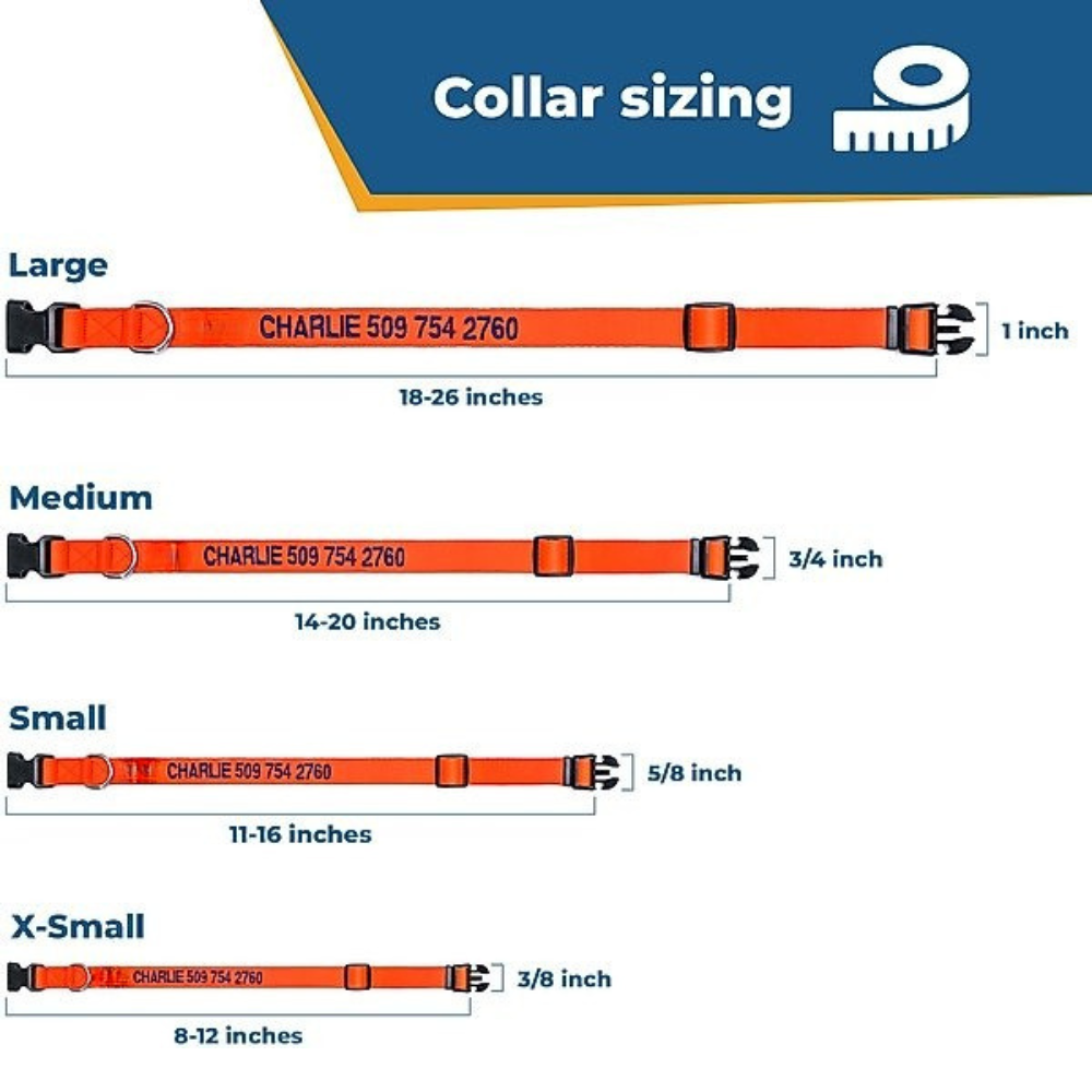 Personalized Adjustable Dog Collar For All Breeds-Ziggy Dog Training Collar