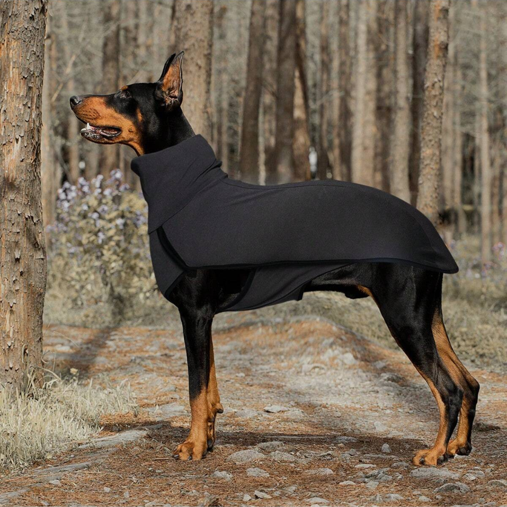 Solid Color Patchwork Pet Hoodie