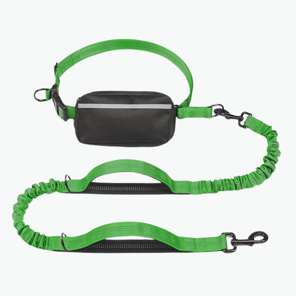 Hands Free Dog Leash With Zipper Pouch