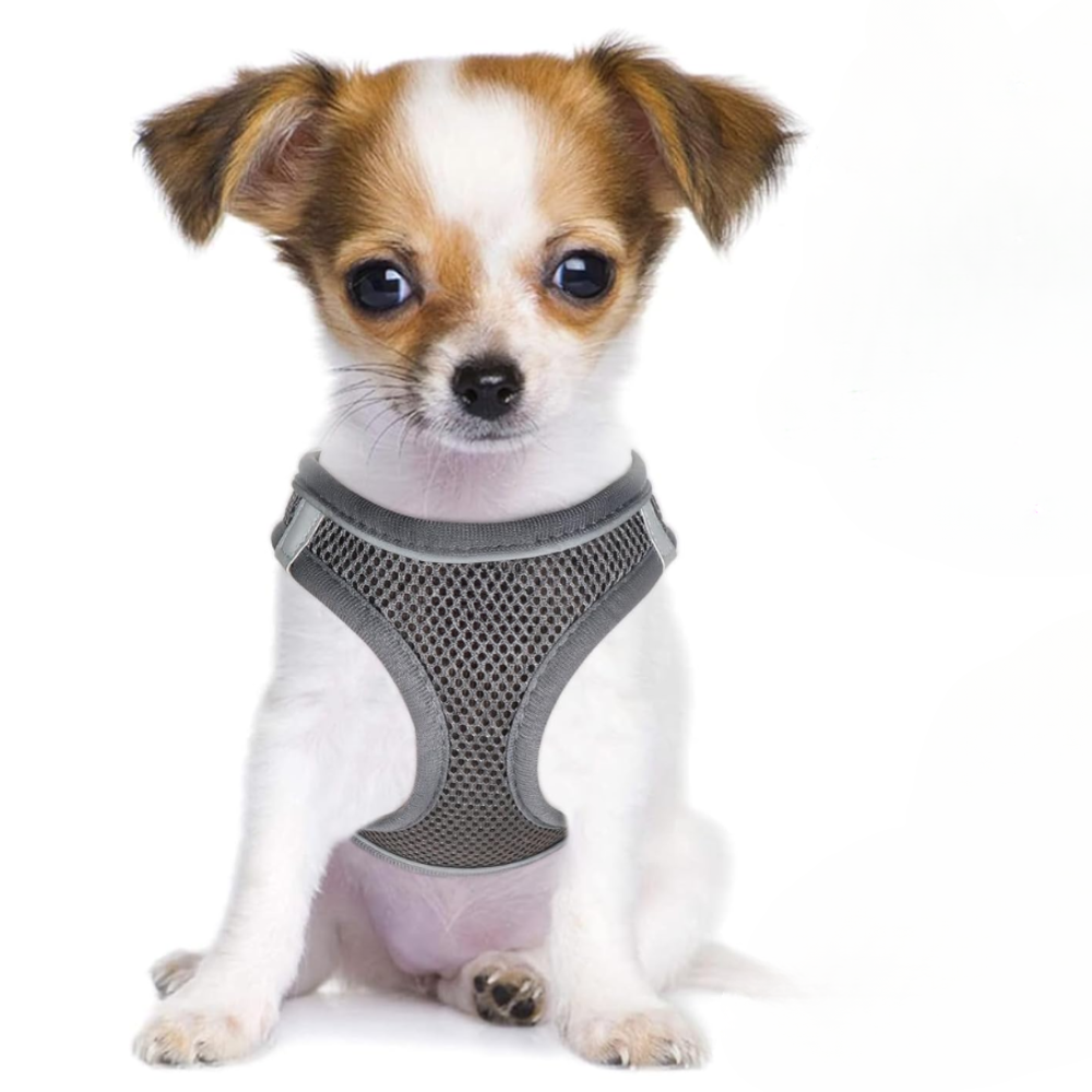 Dog Harness And Leash Set No Pull Mesh Reflective Vest For Pets
