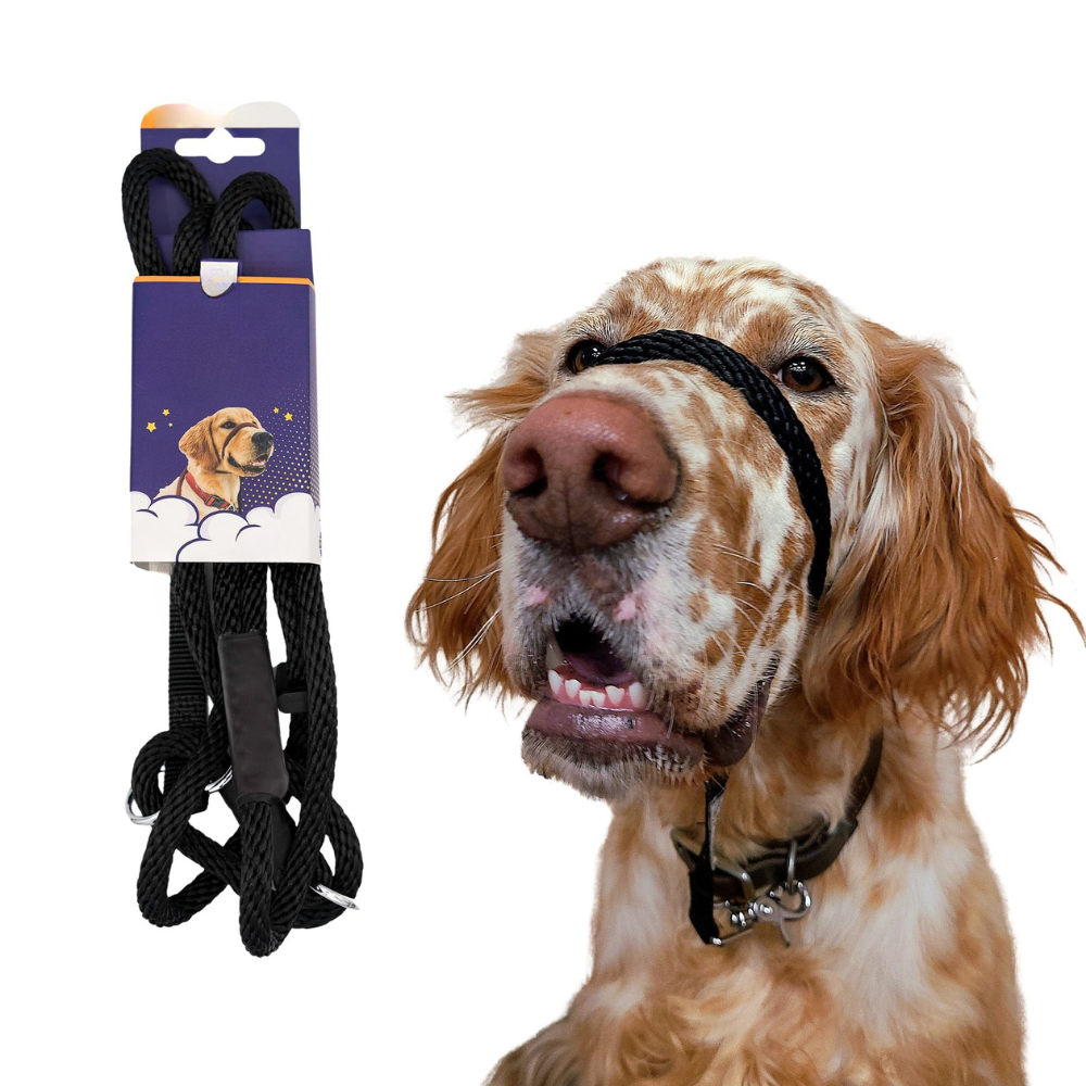 Original Transitional Leash-Ziggy Dog Training Collar