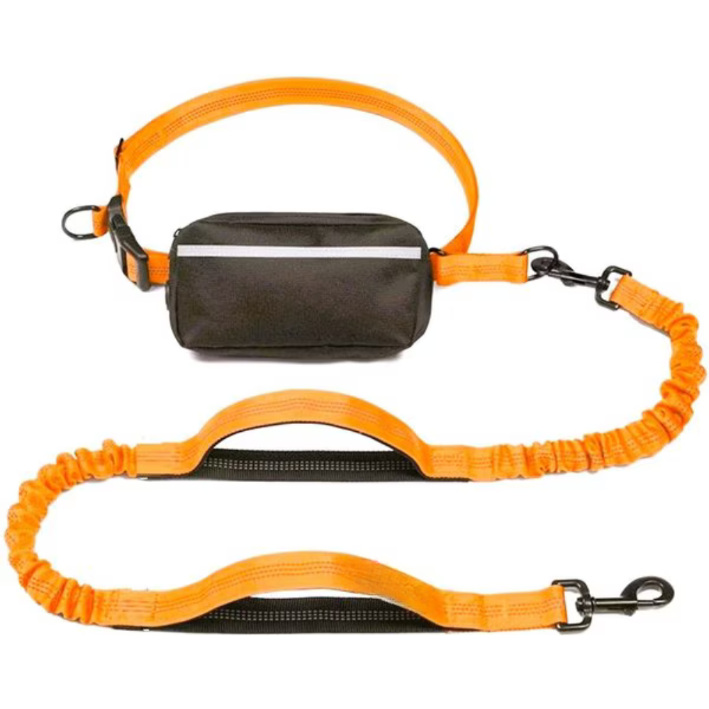 Reflective Bungees Running Dog Leash-Ziggy Dog Training Collar