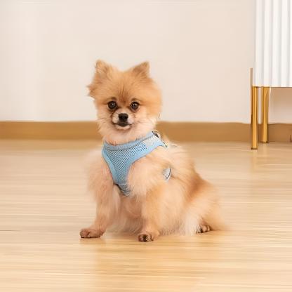 [Copy]Rectangular Pet Floor Mat With Cushioned Support And Paw Print Pattern