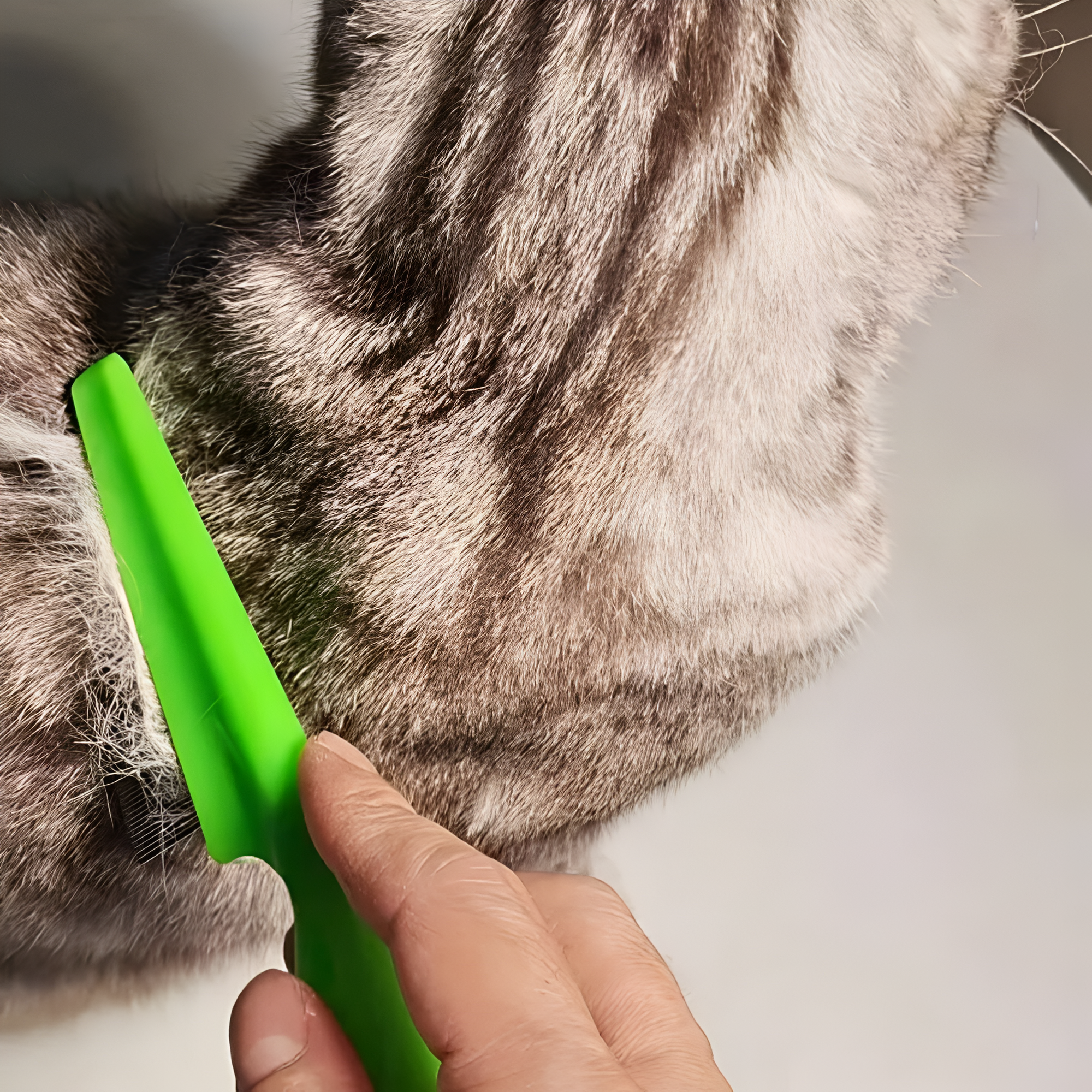 Stainless Steel Pet Hair And Tear Stain Remover Brush For Dogs And Cats