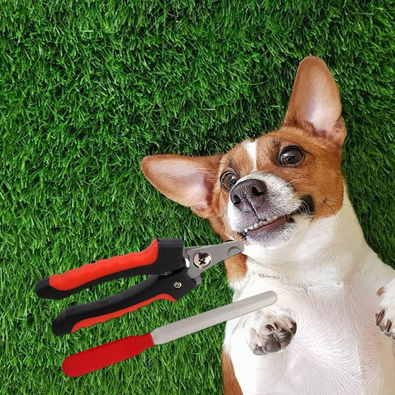 Ziggy Professional Rechargeable Electric Trimmer for Dogs-Ziggy Dog Training Collar