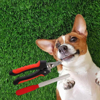 Ziggy Professional Rechargeable Electric Trimmer for Dogs-Ziggy Dog Training Collar