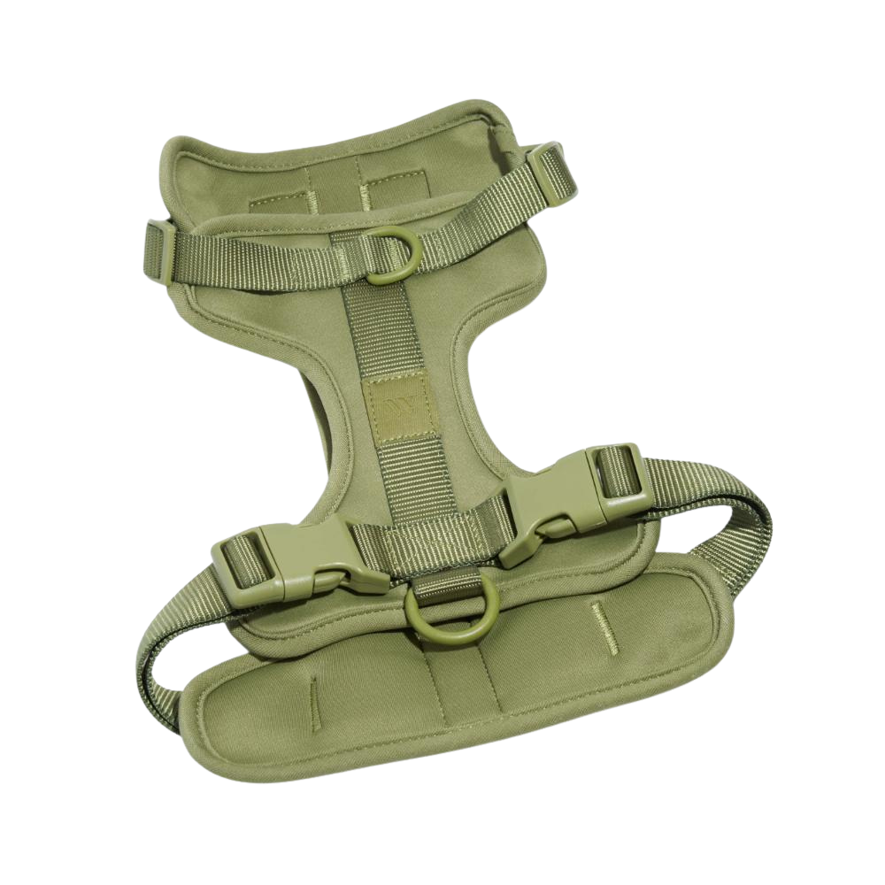 Wild One Dog Harness-Ziggy Dog Training Collar