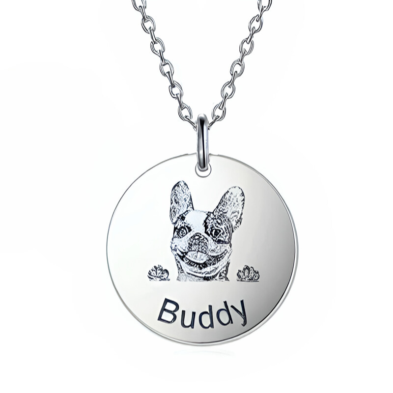 Custom Round Pet Photo Pendant Necklace With Name-Ziggy Dog Training Collar