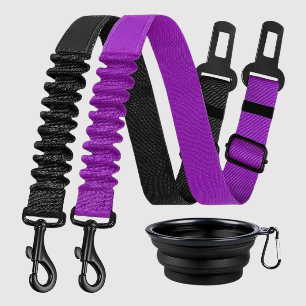 Dog Safety Seat Belt Pack Of 3