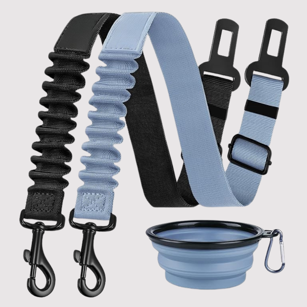 Dog Safety Seat Belt Pack Of 3