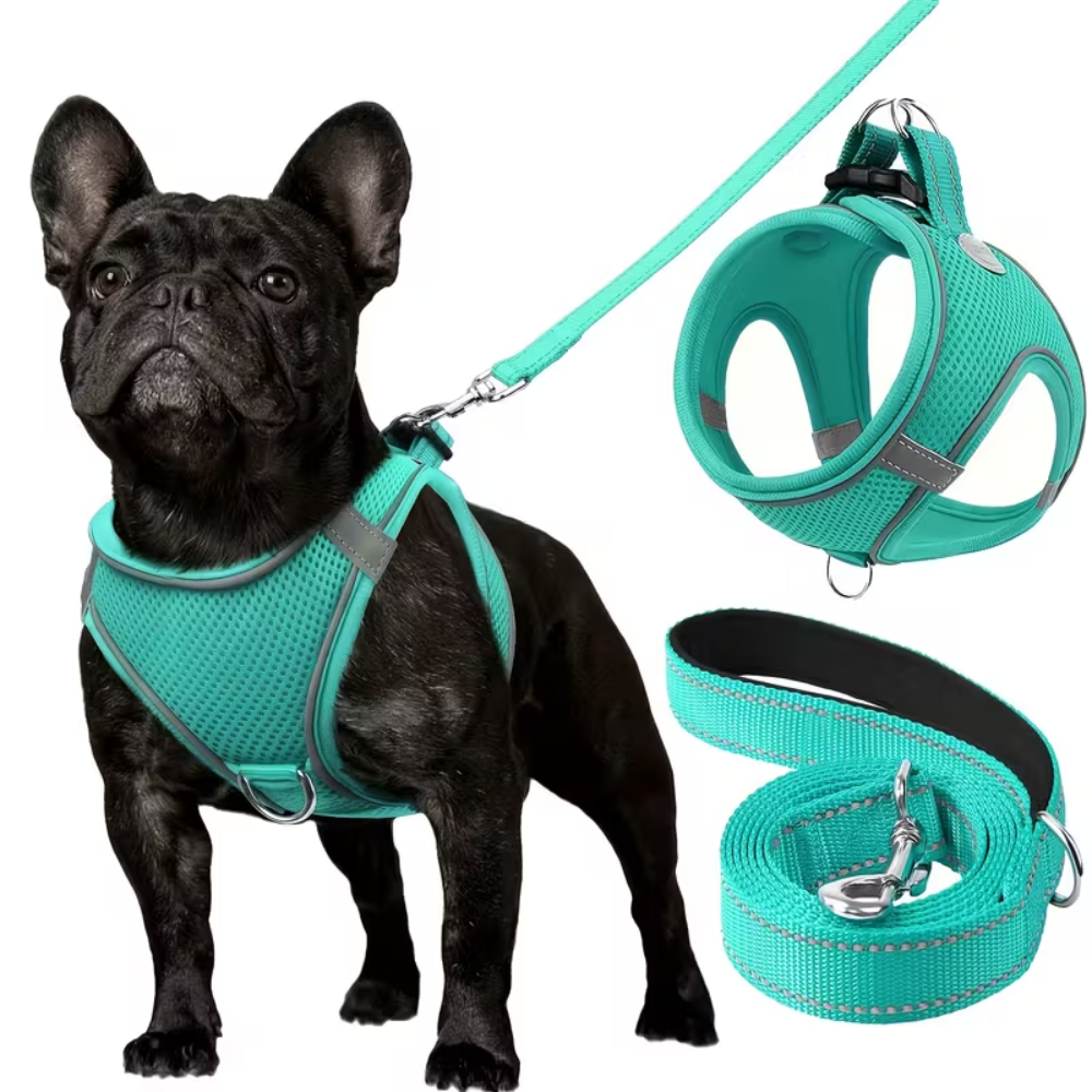 Adjustable Dog Harness With Leash Set