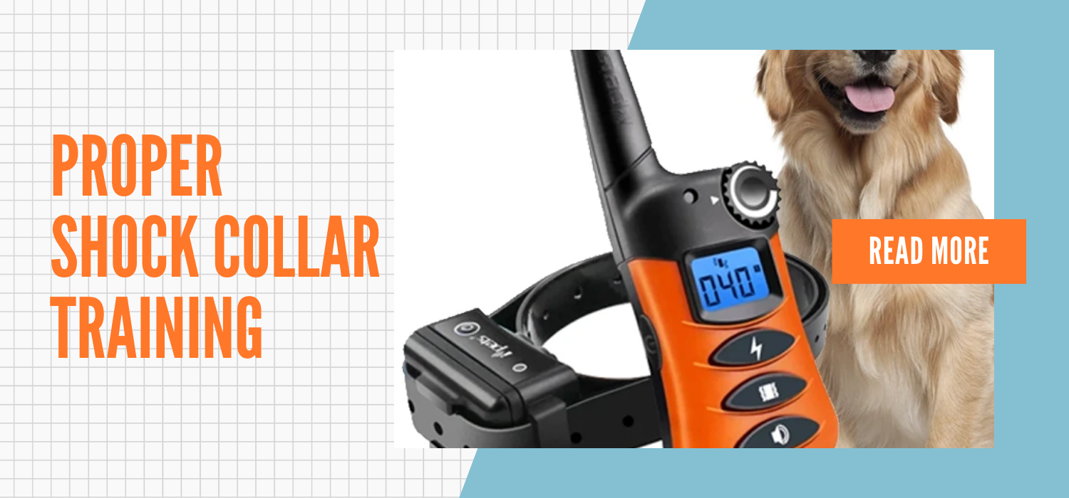 How to Properly Use a Shock Collar in dog training-Ziggy Dog Training Collar