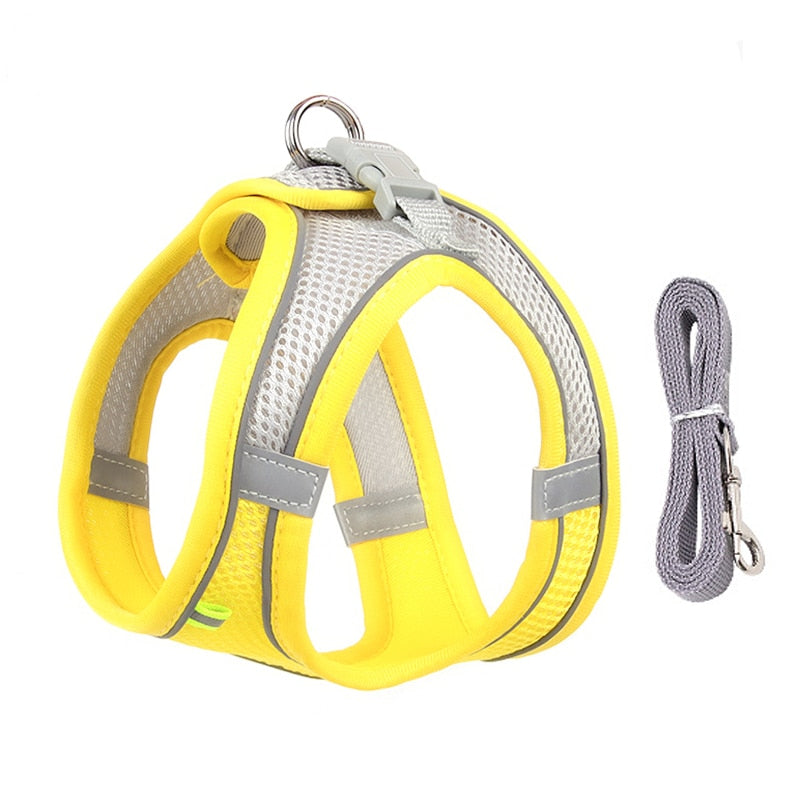 Adjustable Dog Harness Leash Set-Ziggy Dog Training Collar