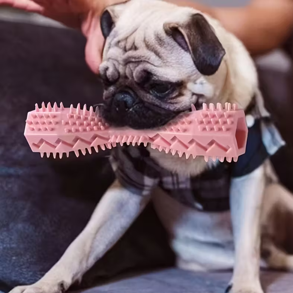 Interactive Dog Toothbrush Toy For Cleaning And Chewing